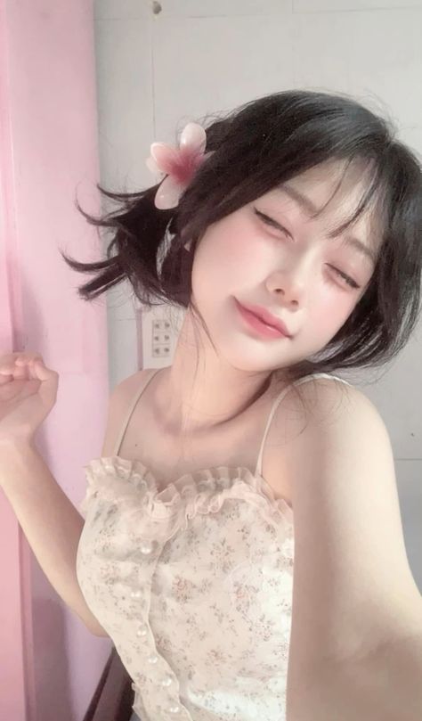 五哈第三季在线观看完整免费