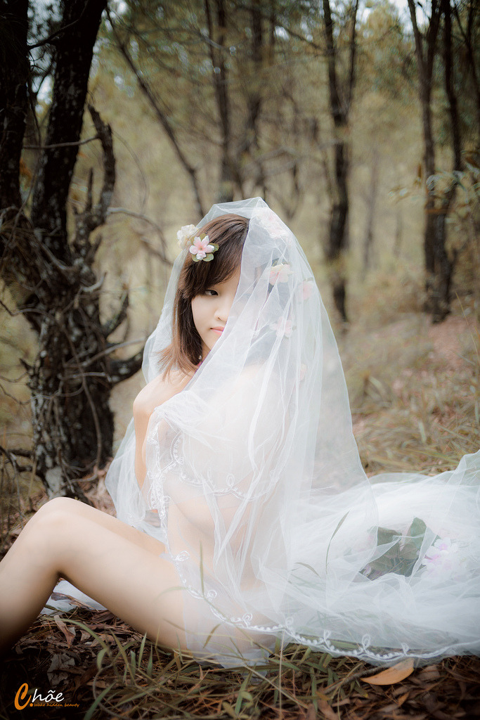 榜上佳婿电视剧全集免费观看高清下载